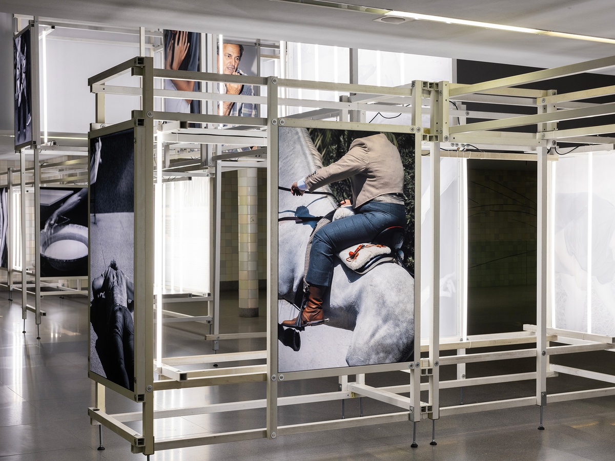 Bienal'25 Fotografia do Porto